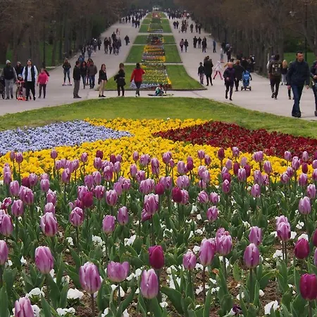 рублевка Апартамент *